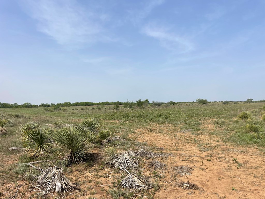2521 Cr 414, Brady, Texas image 12
