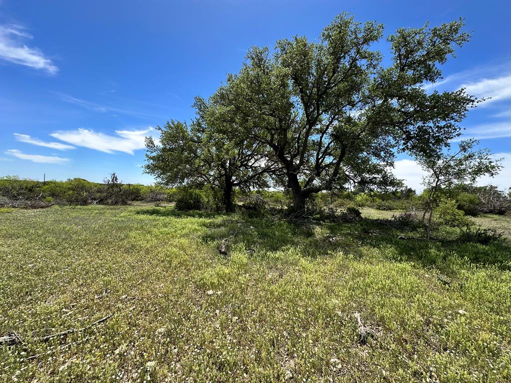 1821 Ranch Rd 864, Sonora, Texas image 42