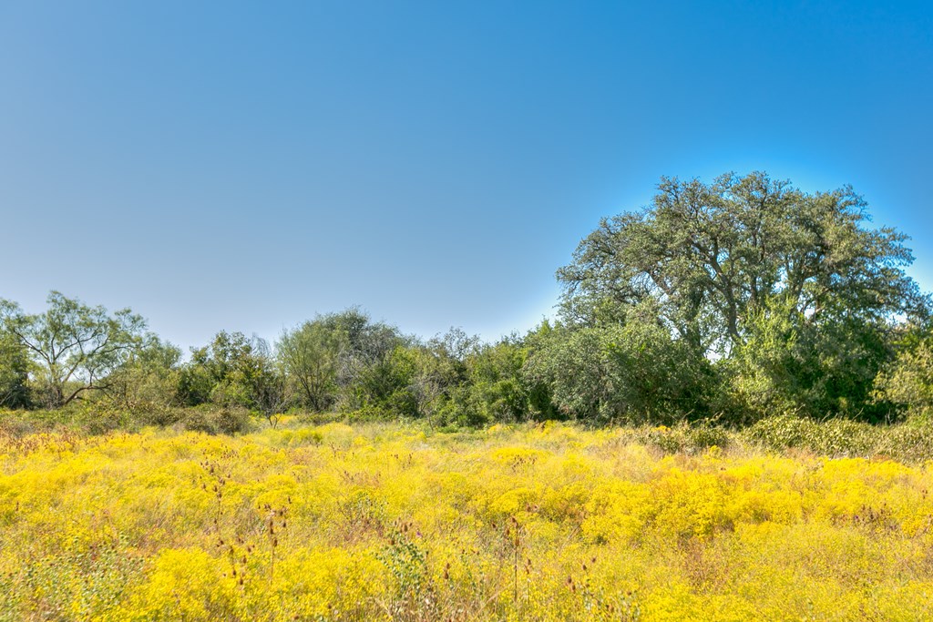 County Rd 474 #55 ACRES, Coleman, Texas image 12