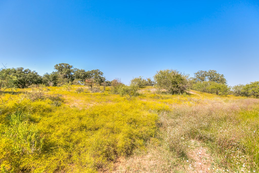 County Rd 474 #55 ACRES, Coleman, Texas image 7