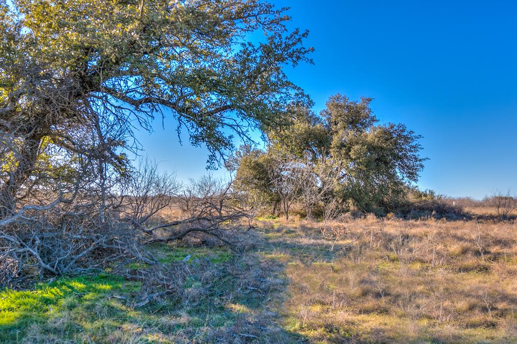 County Rd 474 #55 ACRES, Coleman, Texas image 14