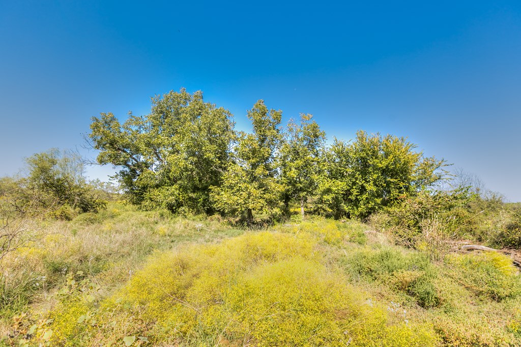 County Rd 474 #55 ACRES, Coleman, Texas image 10