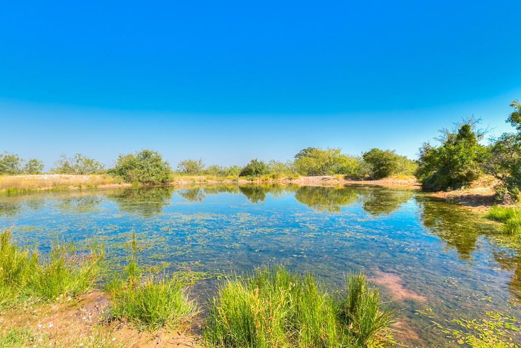 County Rd 474 #55 ACRES, Coleman, Texas image 1