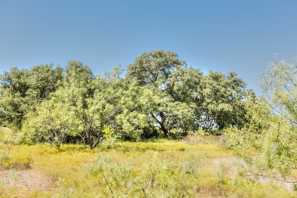 County Rd 474 #55 ACRES, Coleman, Texas image 8