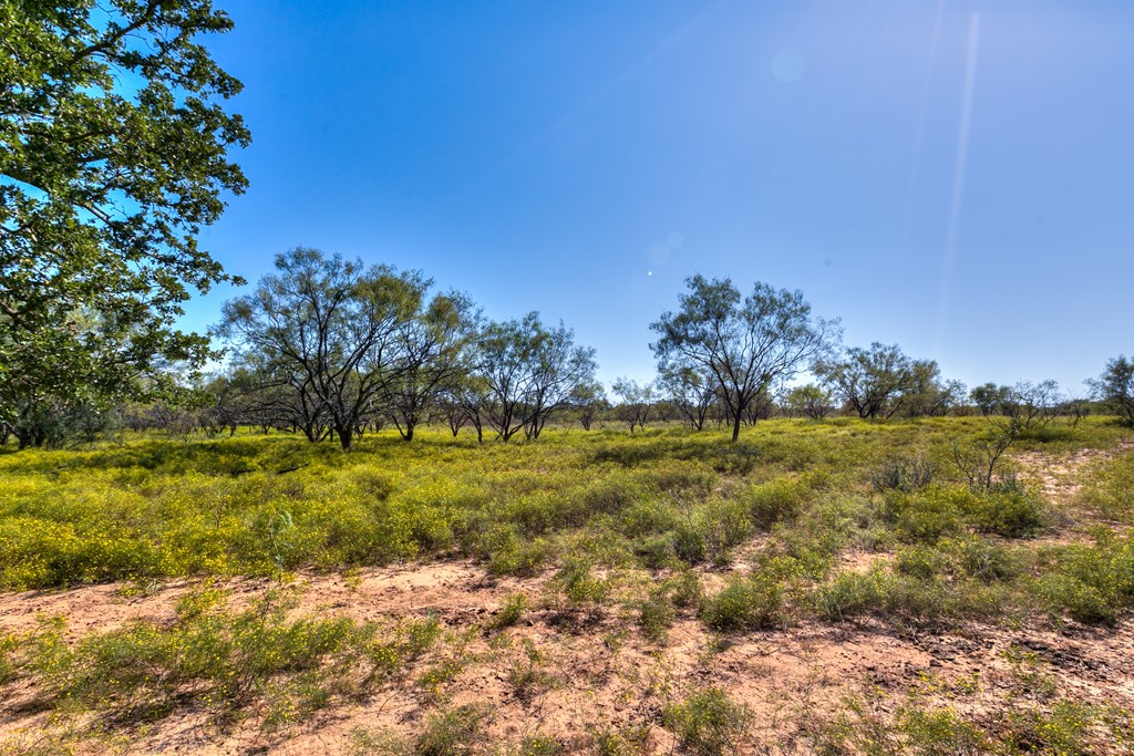 County Rd 474 #55 ACRES, Coleman, Texas image 5