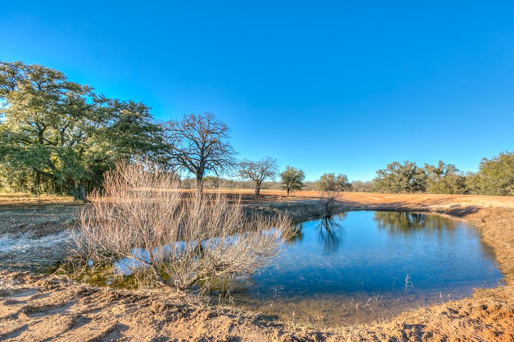 County Rd 474 #55 ACRES, Coleman, Texas image 18