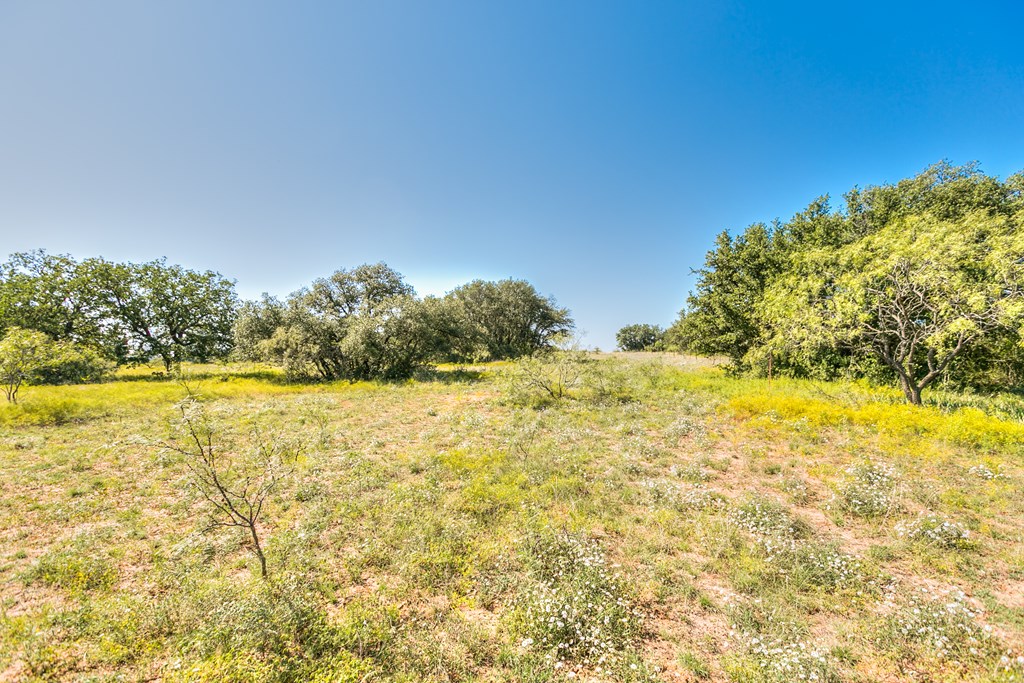 County Rd 474 #55 ACRES, Coleman, Texas image 6