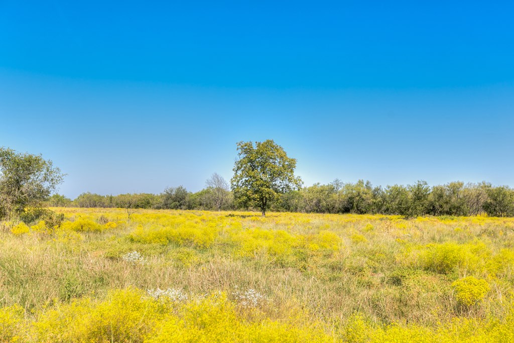 County Rd 474 #55 ACRES, Coleman, Texas image 11