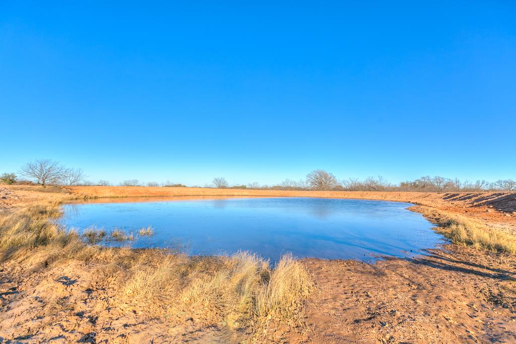 County Rd 474 #55 ACRES, Coleman, Texas image 16