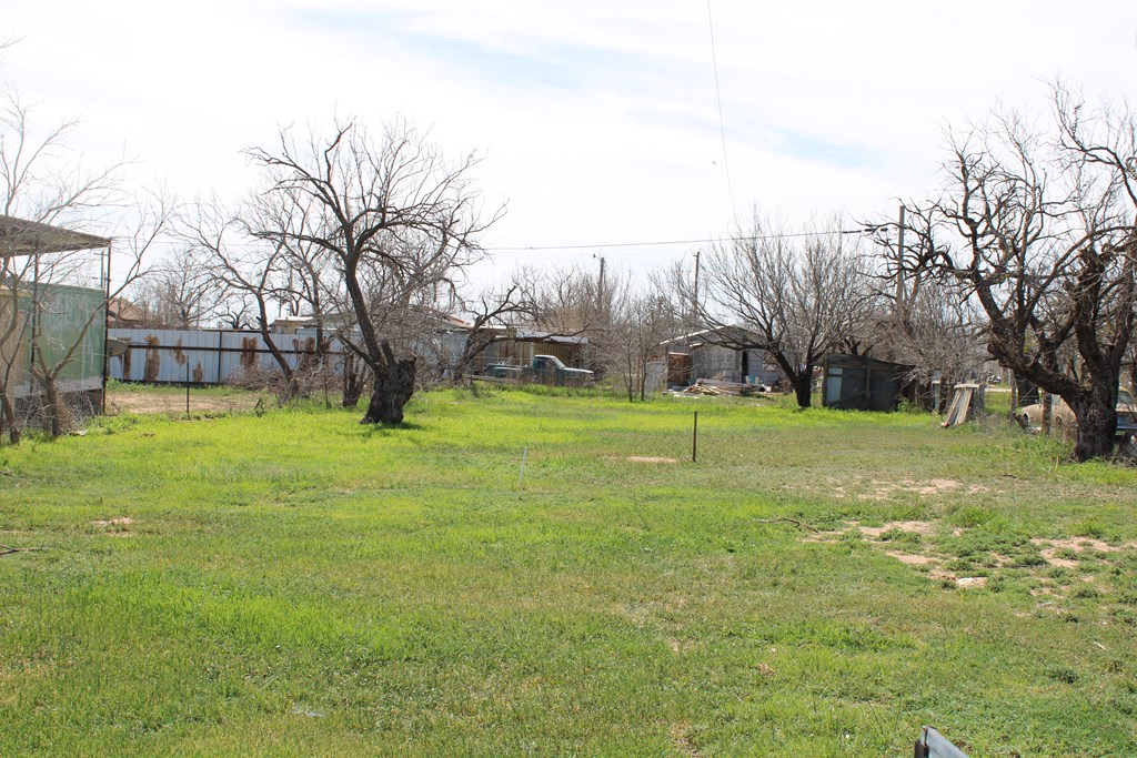 703 N 15th St #55 OF 4, Ballinger, Texas image 4