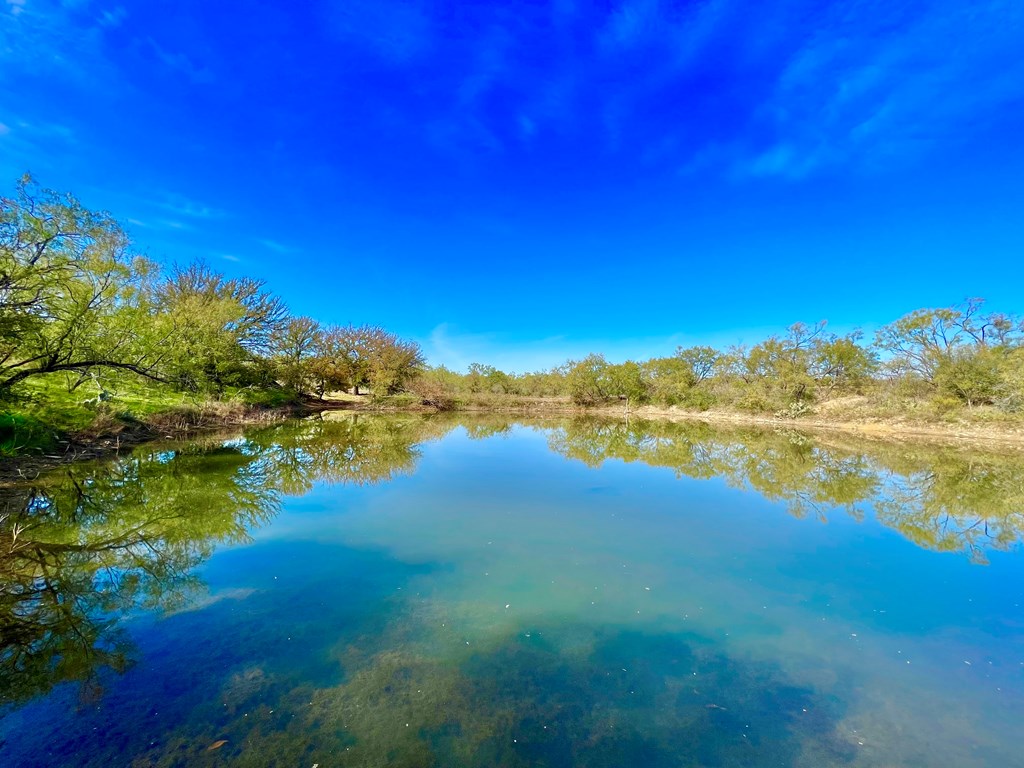 Land, Coleman, Texas image 11