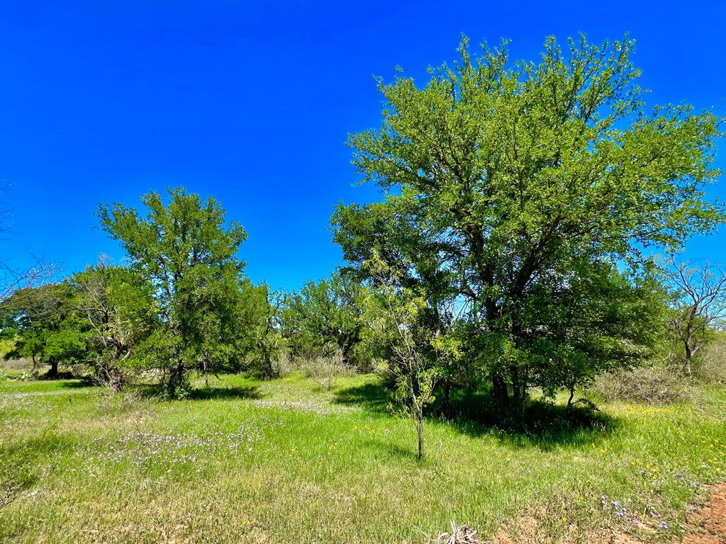 Land, Coleman, Texas image 19