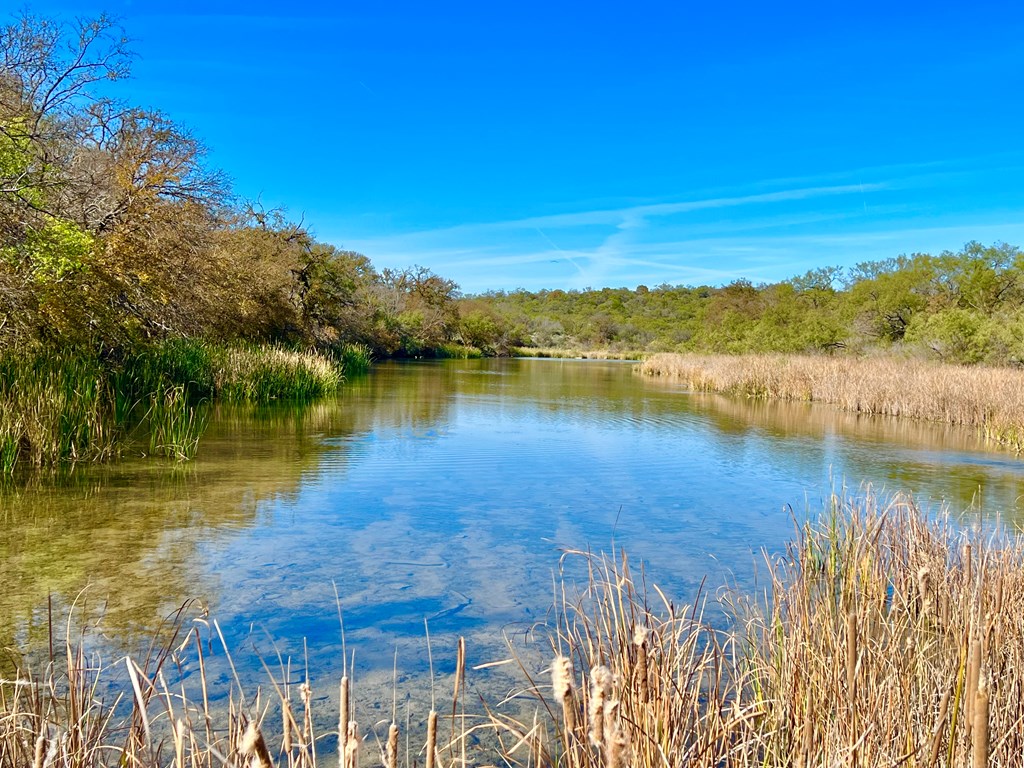 Land, Coleman, Texas image 16