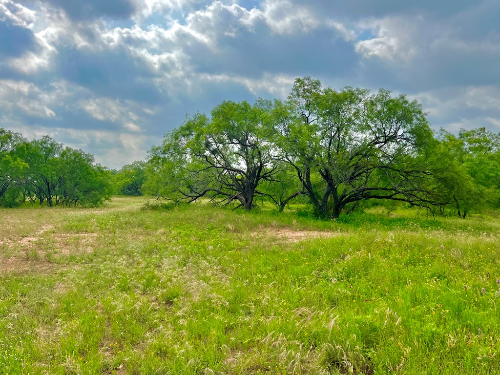 Land, Coleman, Texas image 24