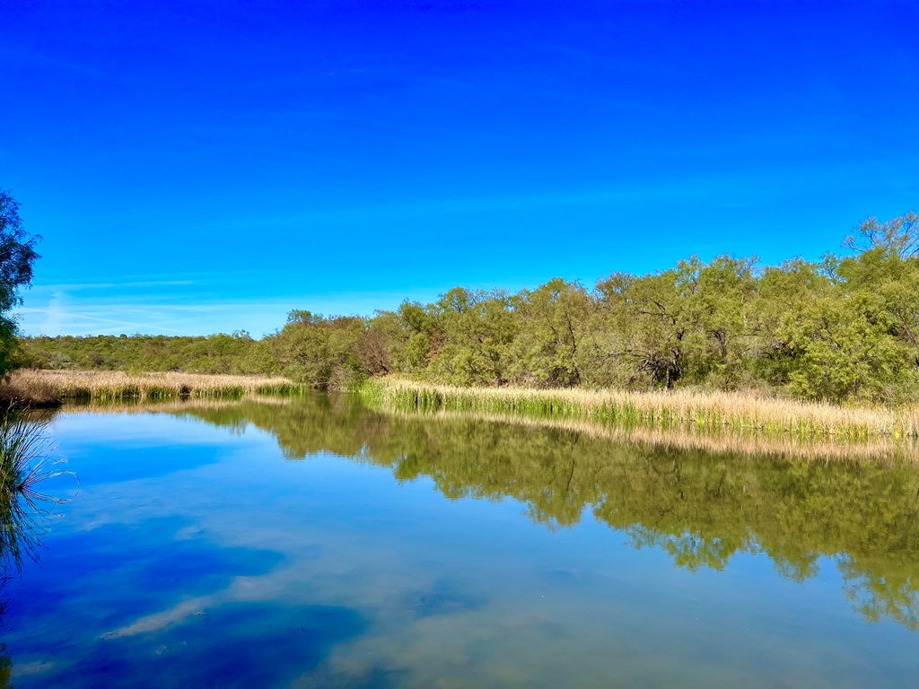 Land, Coleman, Texas image 15