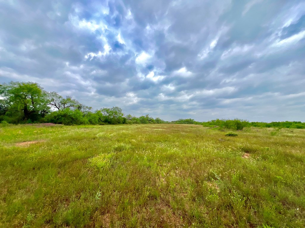 Land, Coleman, Texas image 26