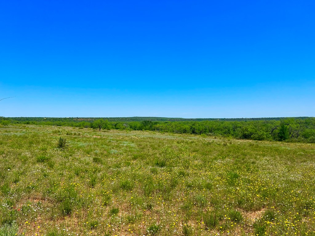 Land, Coleman, Texas image 21