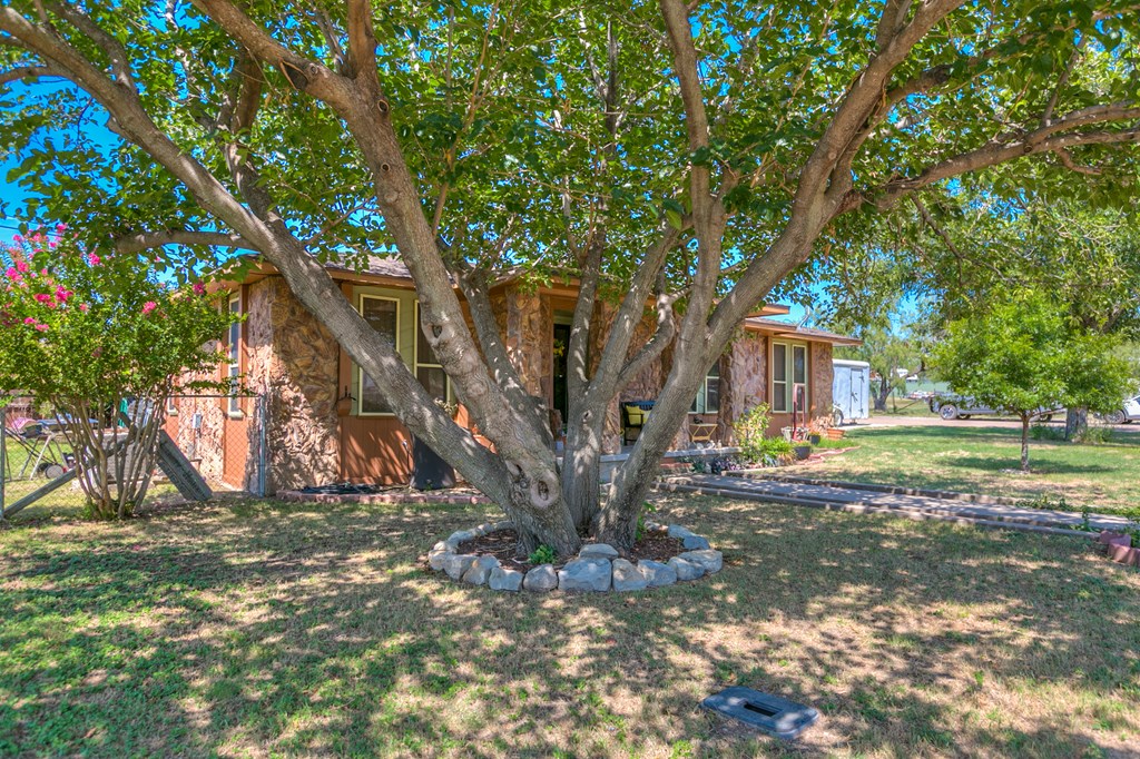 1509 N 3rd St, Ballinger, Texas image 4