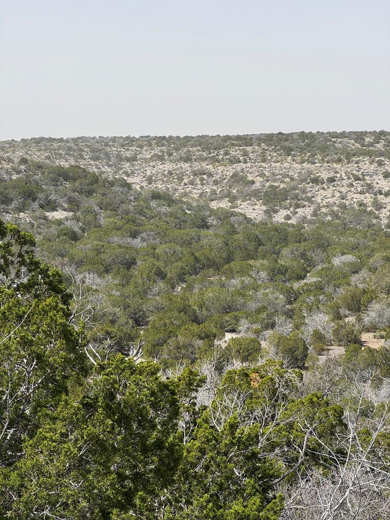 13812 High Lonesome Rd, Del Rio, Texas image 1