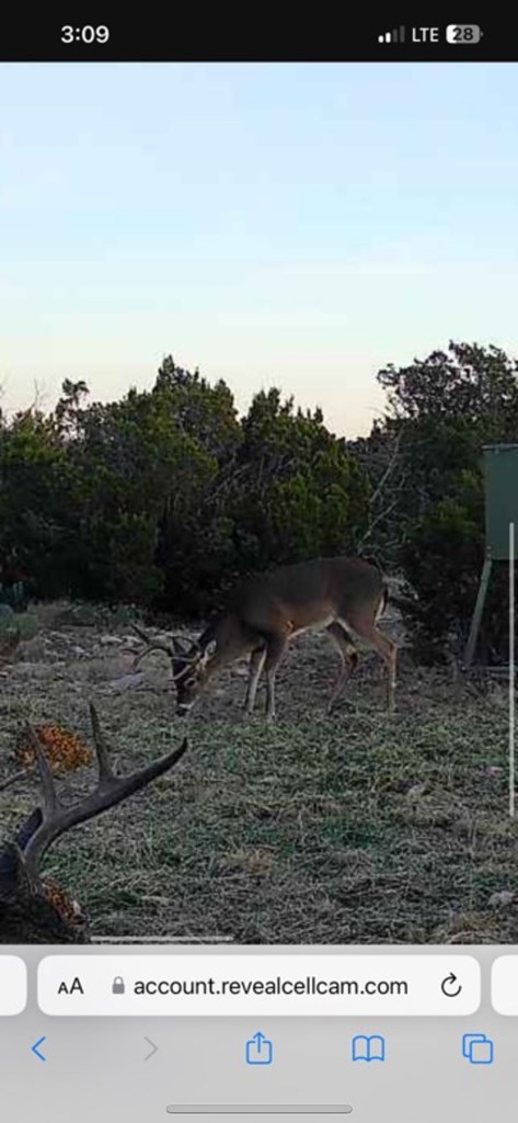 13812 High Lonesome Rd, Del Rio, Texas image 31