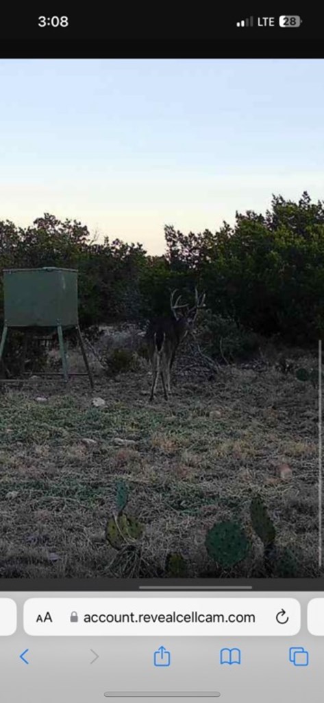 13812 High Lonesome Rd, Del Rio, Texas image 30