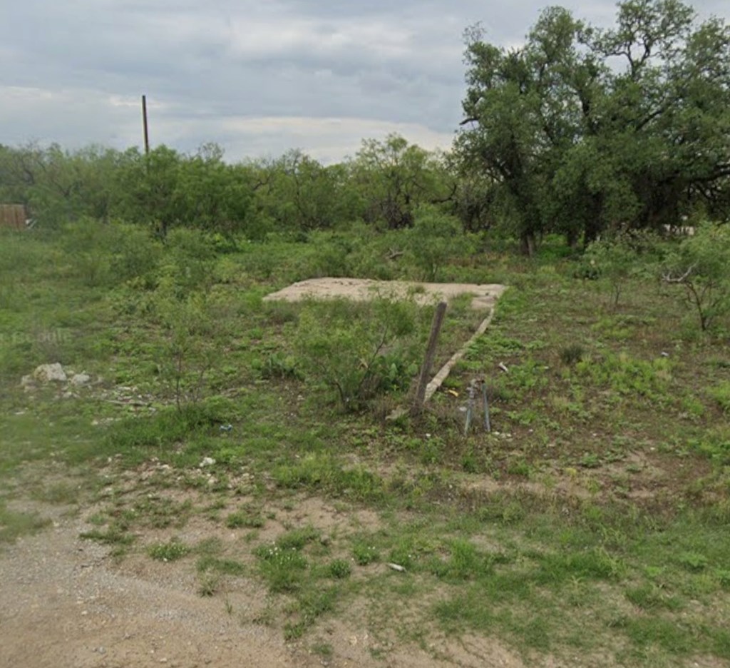 TBD Barnett St, Eden, Texas image 3
