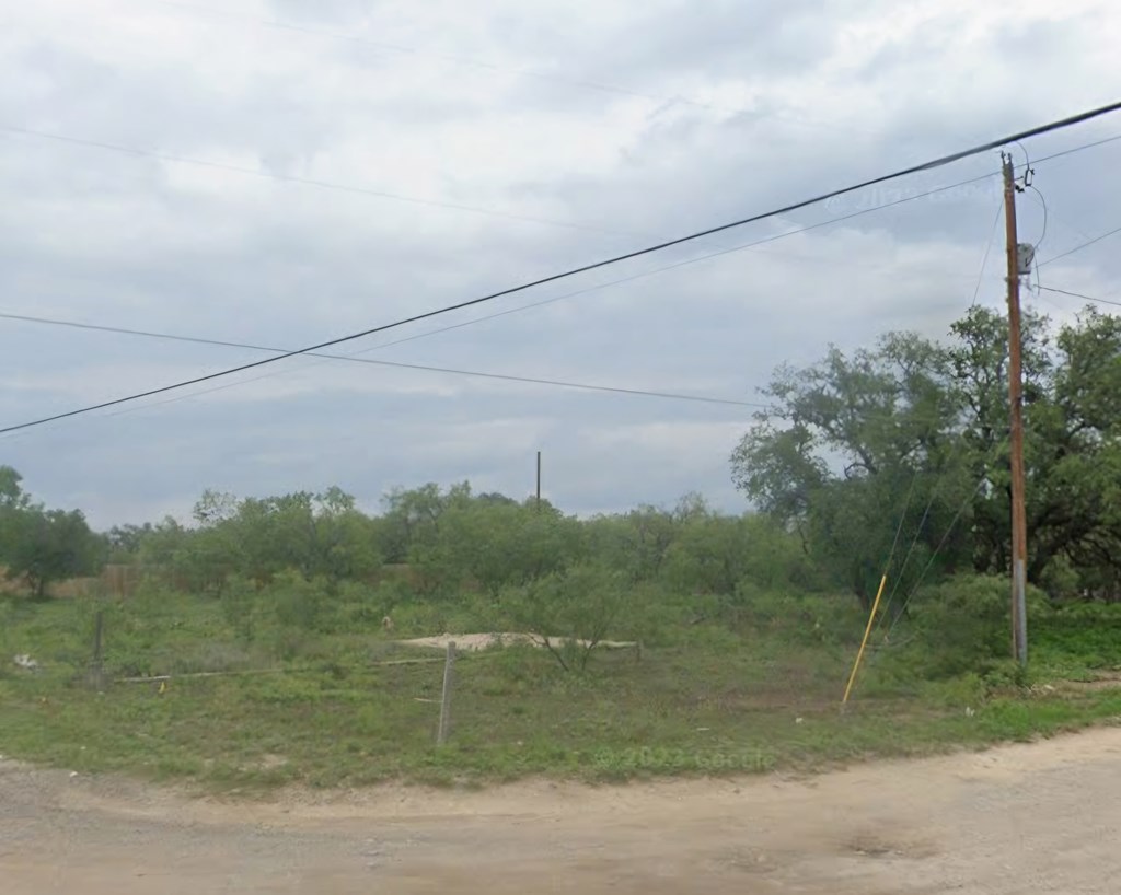 TBD Barnett St, Eden, Texas image 2