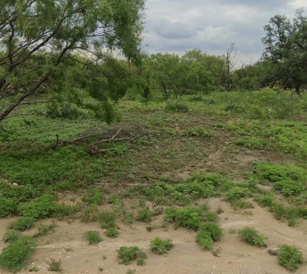 TBD Barnett St, Eden, Texas image 1