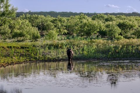 Vacant Land For Sale - CR 4131 Eden<br/> Eden, TX 76837