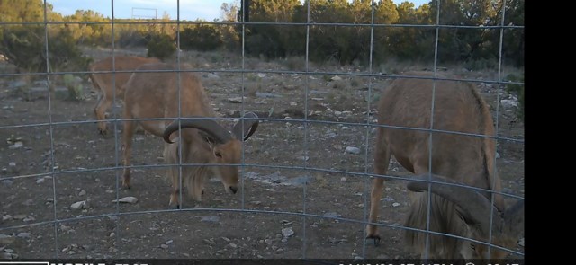 34 High Lonesome Rd #34, Comstock, Texas image 3