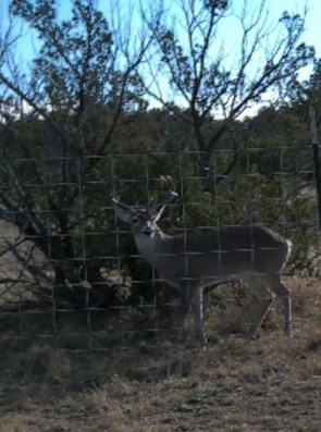 34 High Lonesome Rd #34, Comstock, Texas image 11