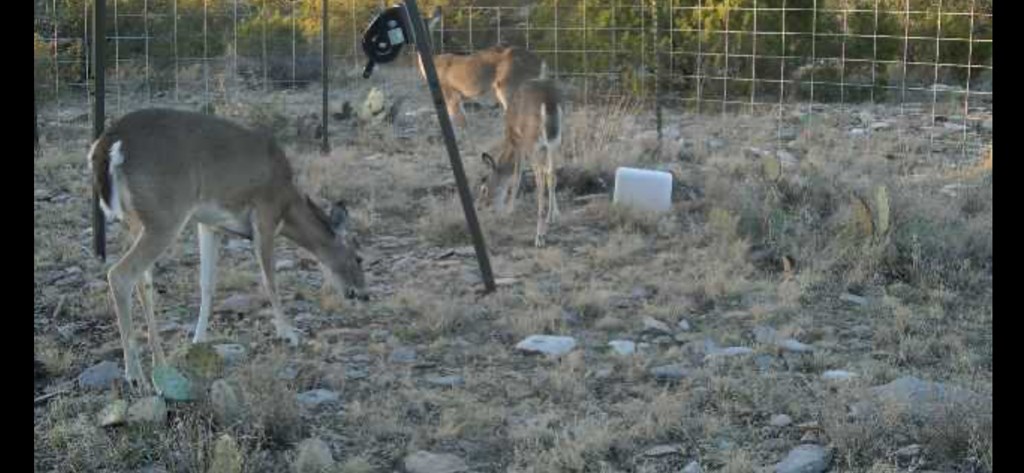 34 High Lonesome Rd #34, Comstock, Texas image 16