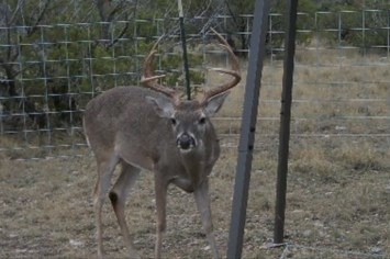 34 High Lonesome Rd #34, Comstock, Texas image 4