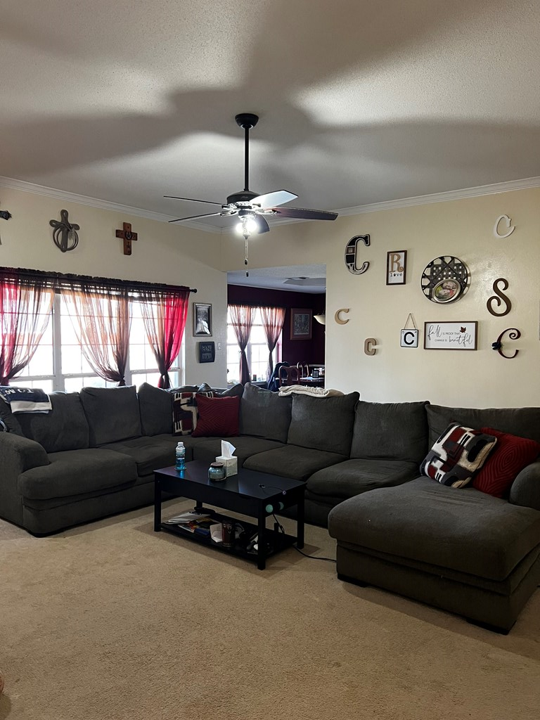 3514 Shadyhill Dr, San Angelo, Texas image 4
