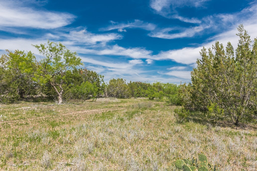 1940 Other, Robert Lee, Texas image 44