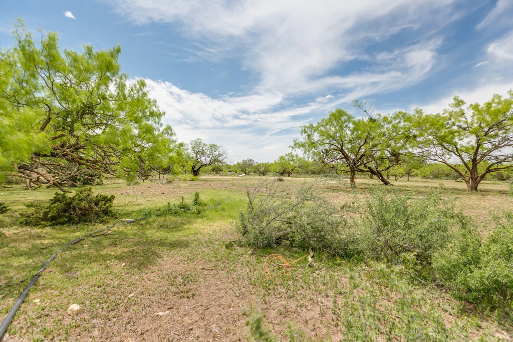 1940 Other, Robert Lee, Texas image 36