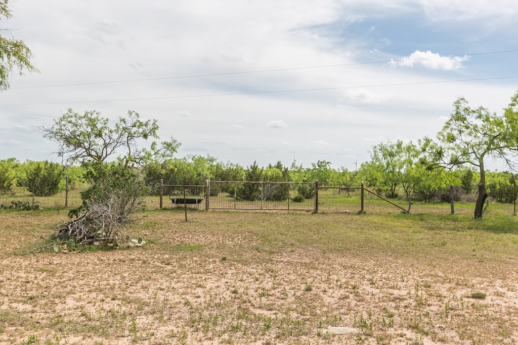 1940 Other, Robert Lee, Texas image 3