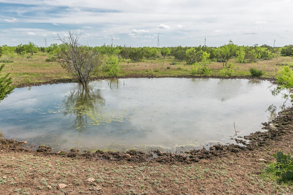 1940 Other, Robert Lee, Texas image 2