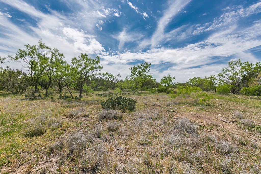 1940 Other, Robert Lee, Texas image 45