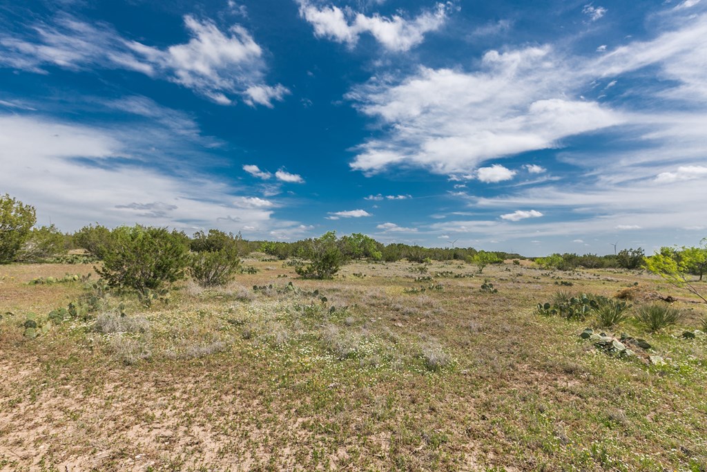 1940 Other, Robert Lee, Texas image 47