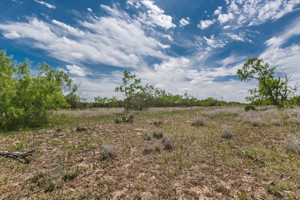 1940 Other, Robert Lee, Texas image 42