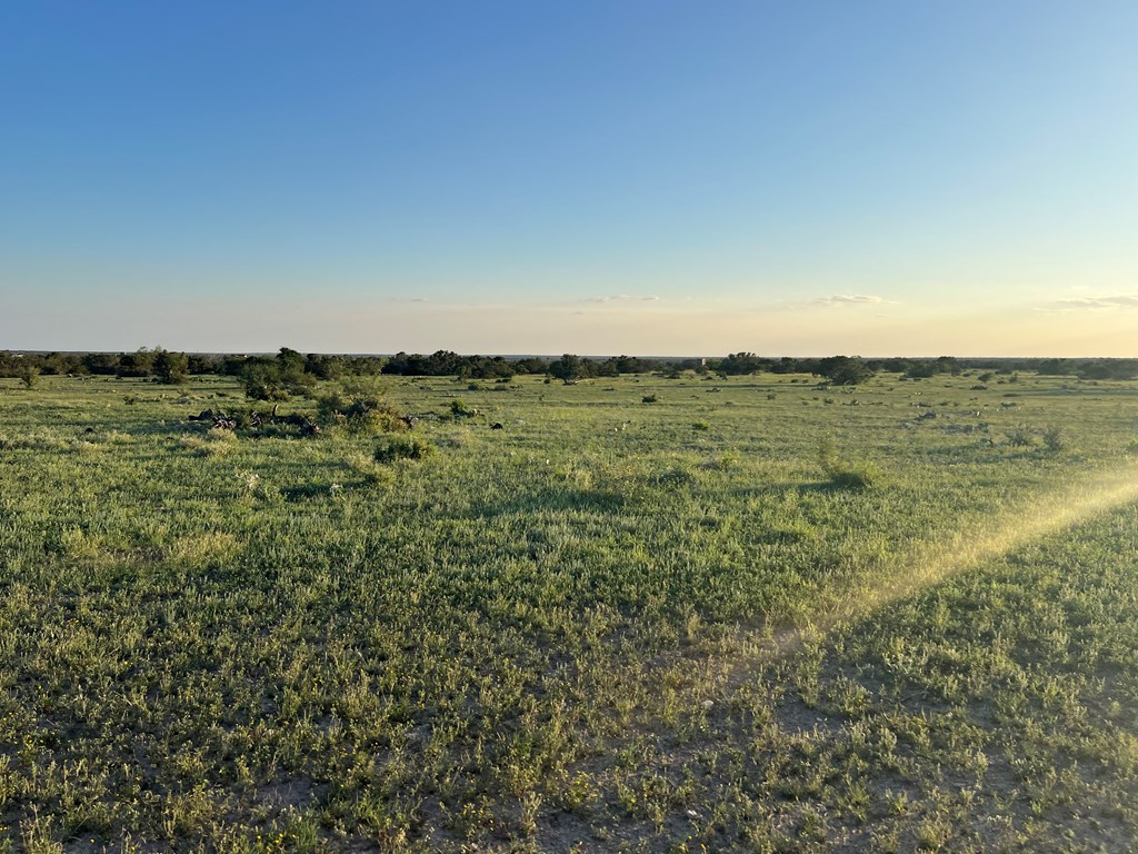 4001 County Rd 106, Ozona, Texas image 5