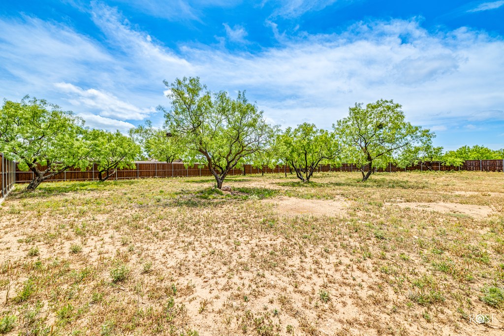 7519 Bison Trail, San Angelo, Texas image 18