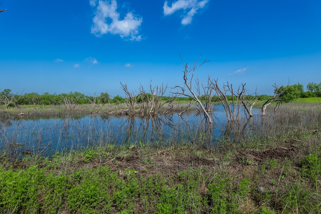 88291 Suaa Rd Well #286, Lohn, Texas image 14