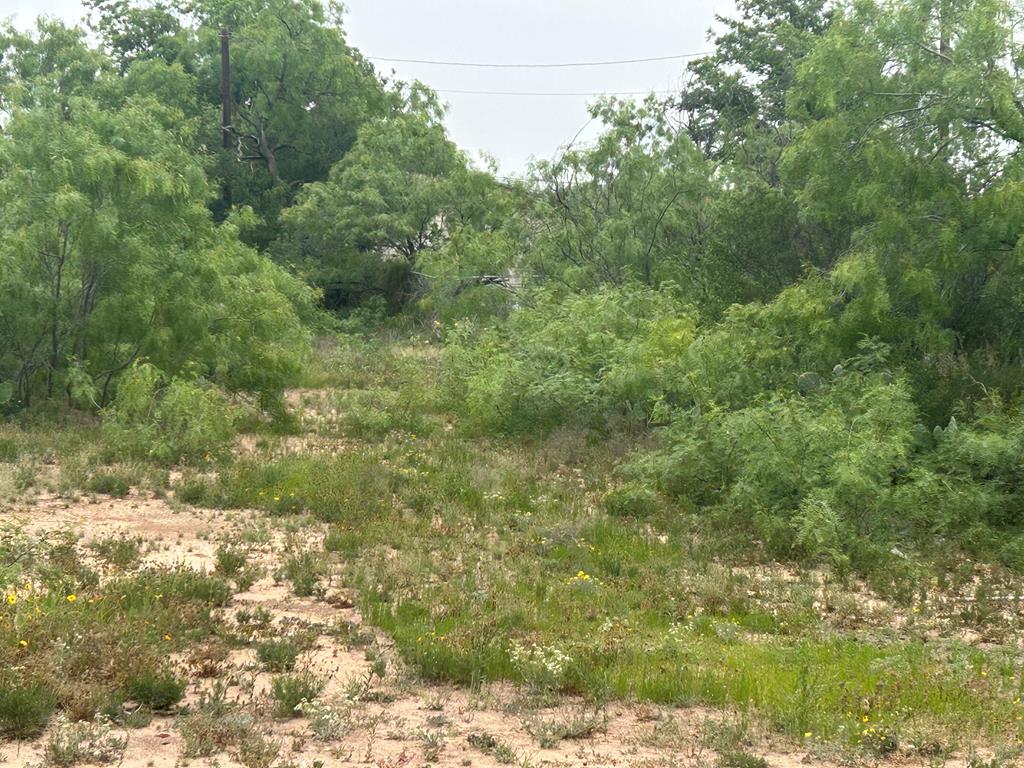17th St #0.255, San Angelo, Texas image 1