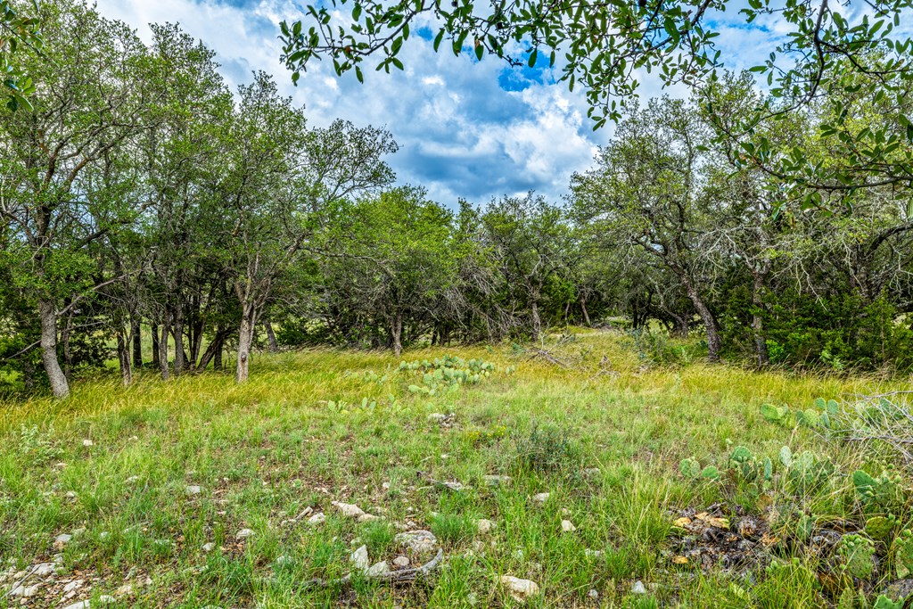 0000 Private Rd, Sonora, Texas image 2