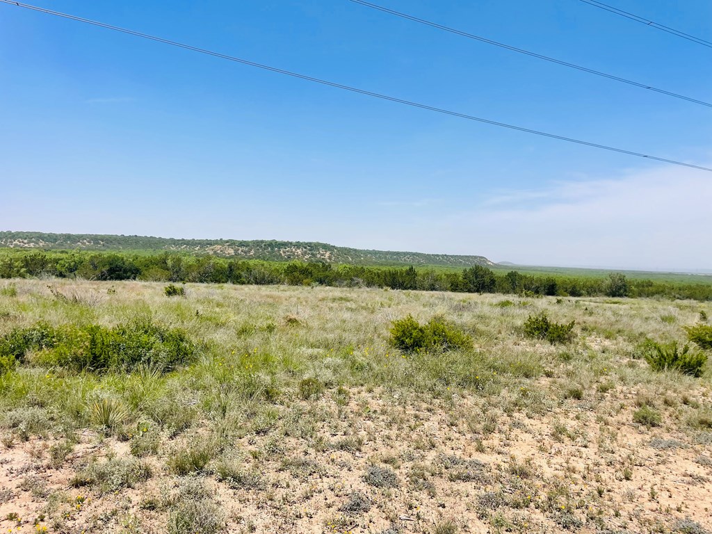 10357 Jerimiah Lane, San Angelo, Texas image 3