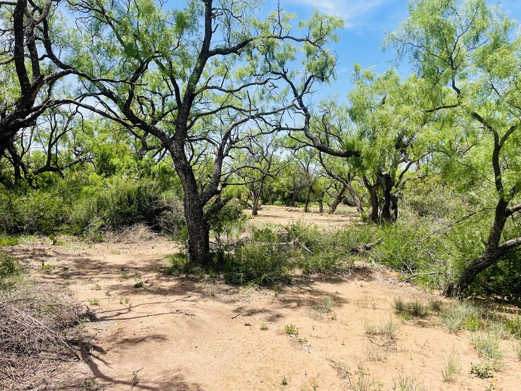 10357 Jerimiah Lane, San Angelo, Texas image 24