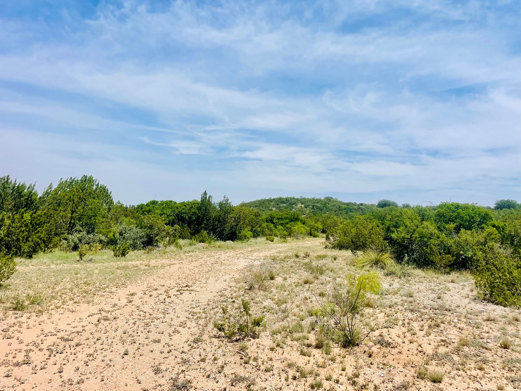 10357 Jerimiah Lane, San Angelo, Texas image 13