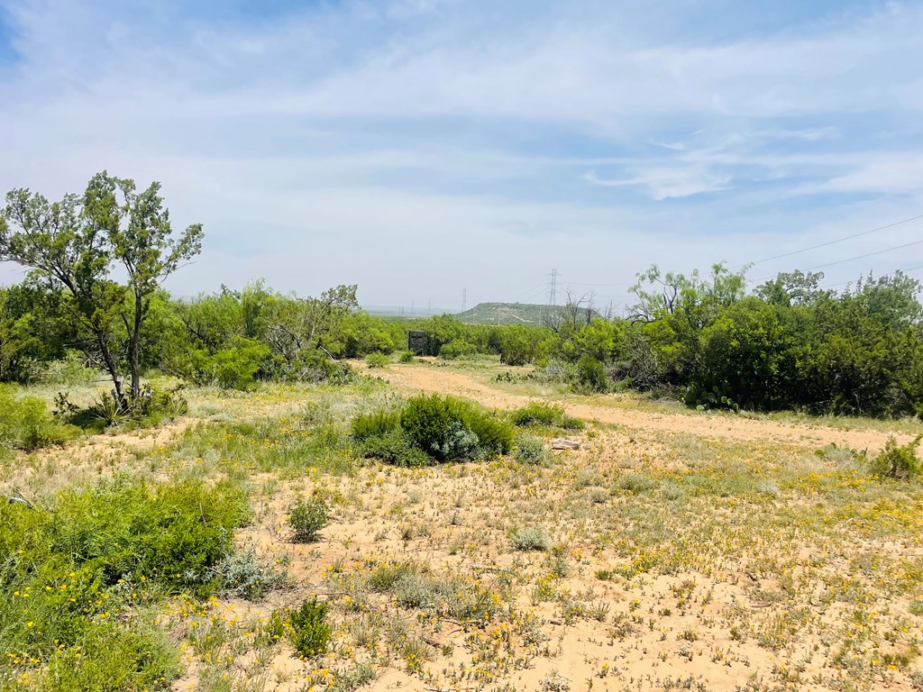 10357 Jerimiah Lane, San Angelo, Texas image 21